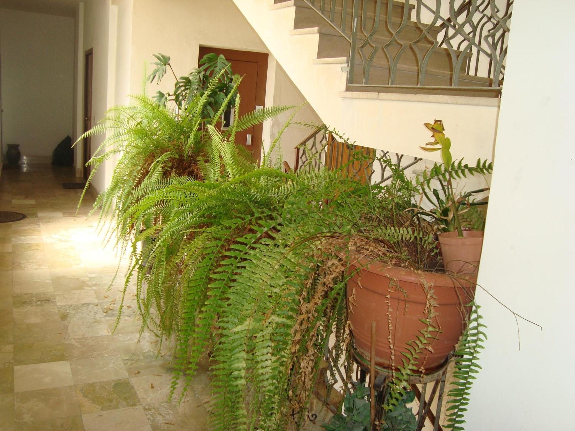 Antonio'S House Bed and Breakfast Αγκριτζέντο Εξωτερικό φωτογραφία
